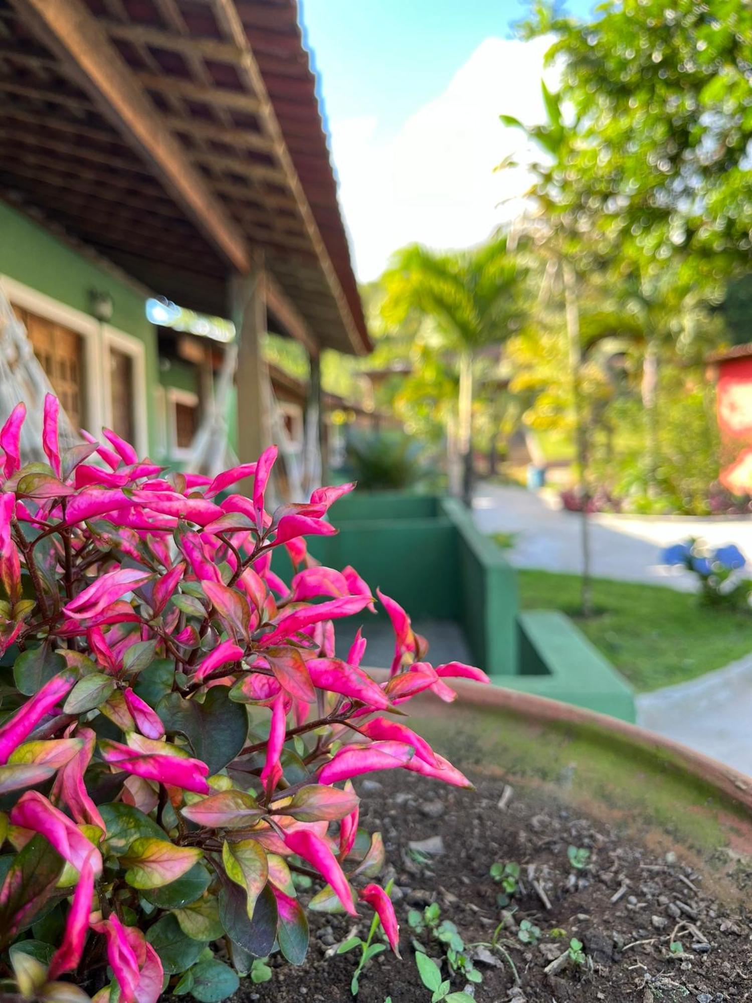 Pousada E Restaurante Alto Da Serra Bonito  Zewnętrze zdjęcie