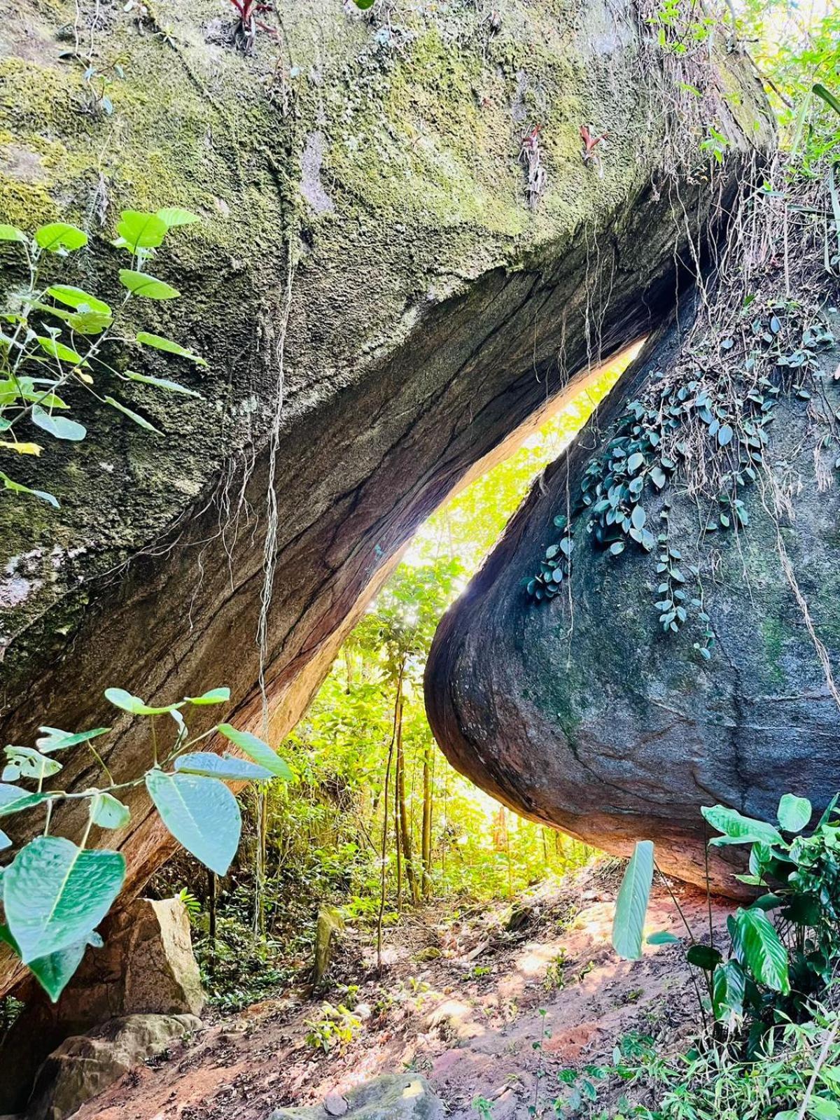 Pousada E Restaurante Alto Da Serra Bonito  Zewnętrze zdjęcie