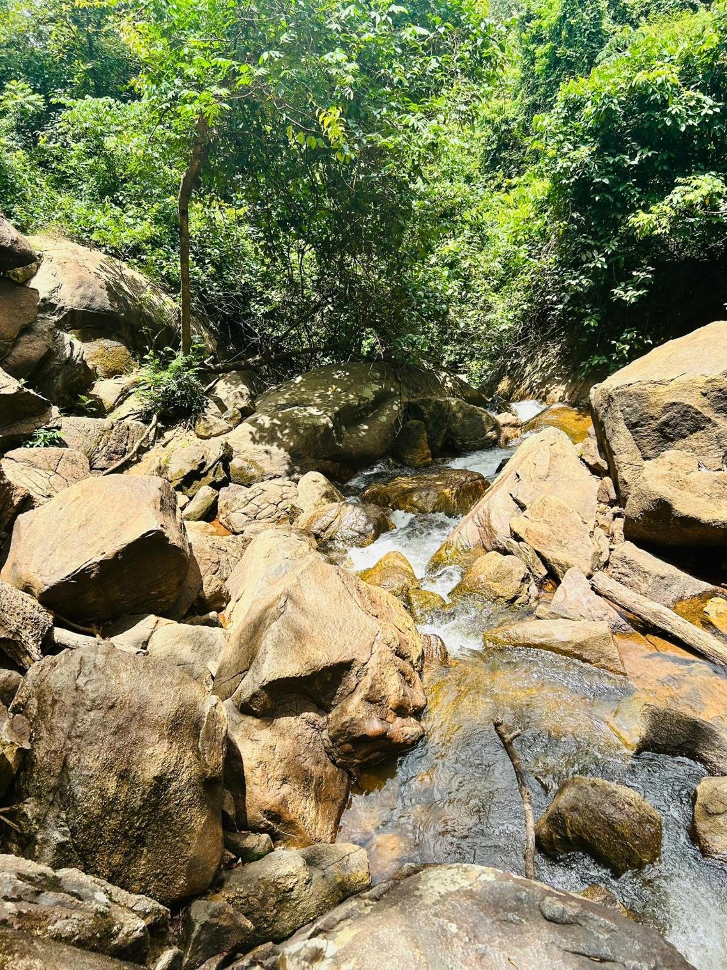 Pousada E Restaurante Alto Da Serra Bonito  Zewnętrze zdjęcie