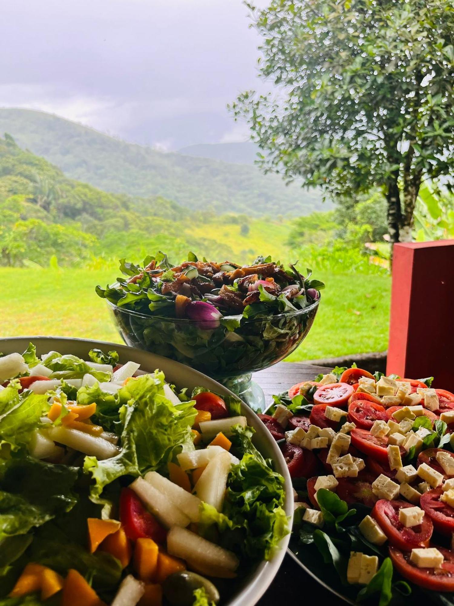 Pousada E Restaurante Alto Da Serra Bonito  Zewnętrze zdjęcie